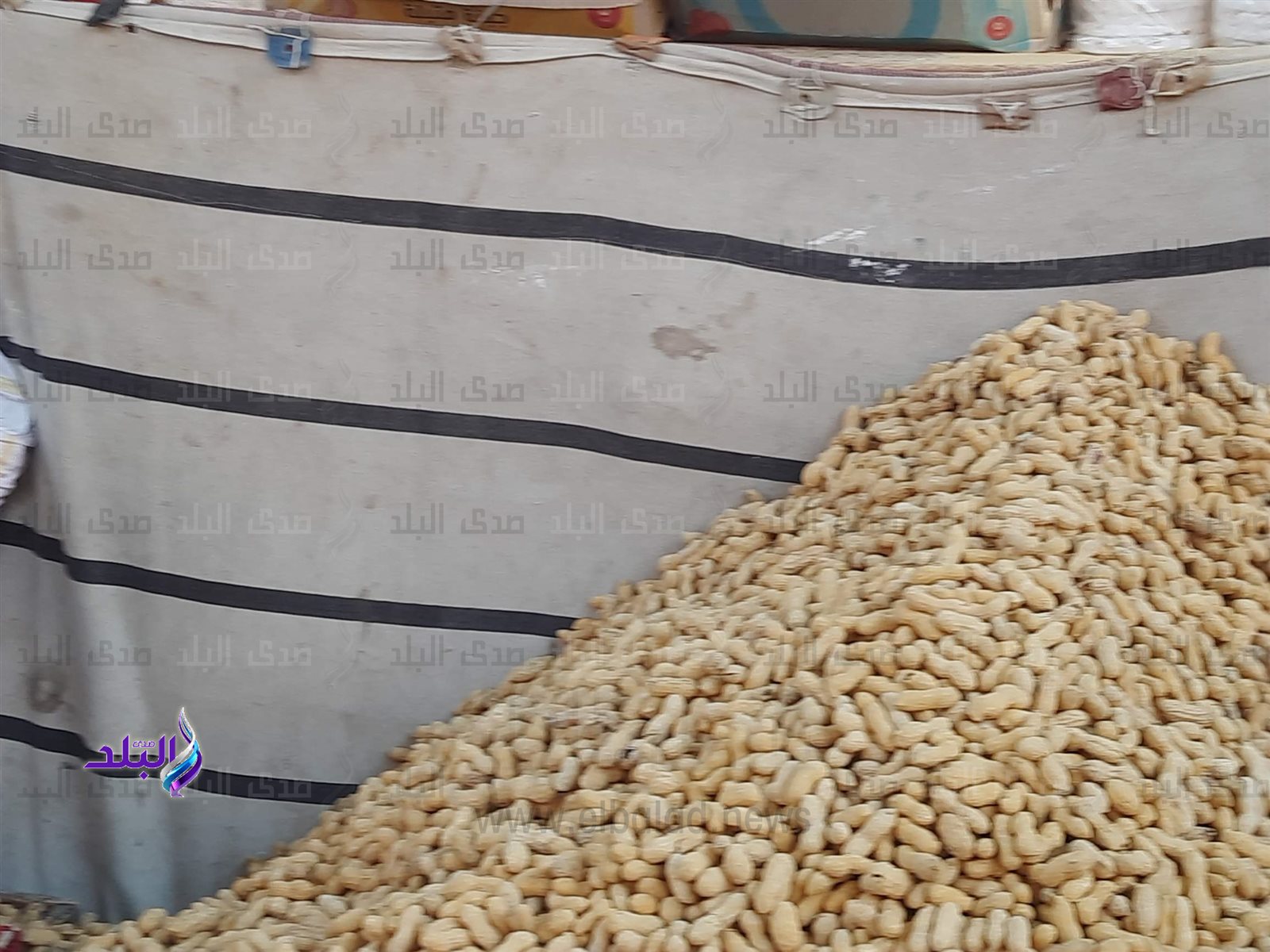 0_٢٠٢٤٠٢١٨_١٦٢١٠٦_١٠٤٨٥٨