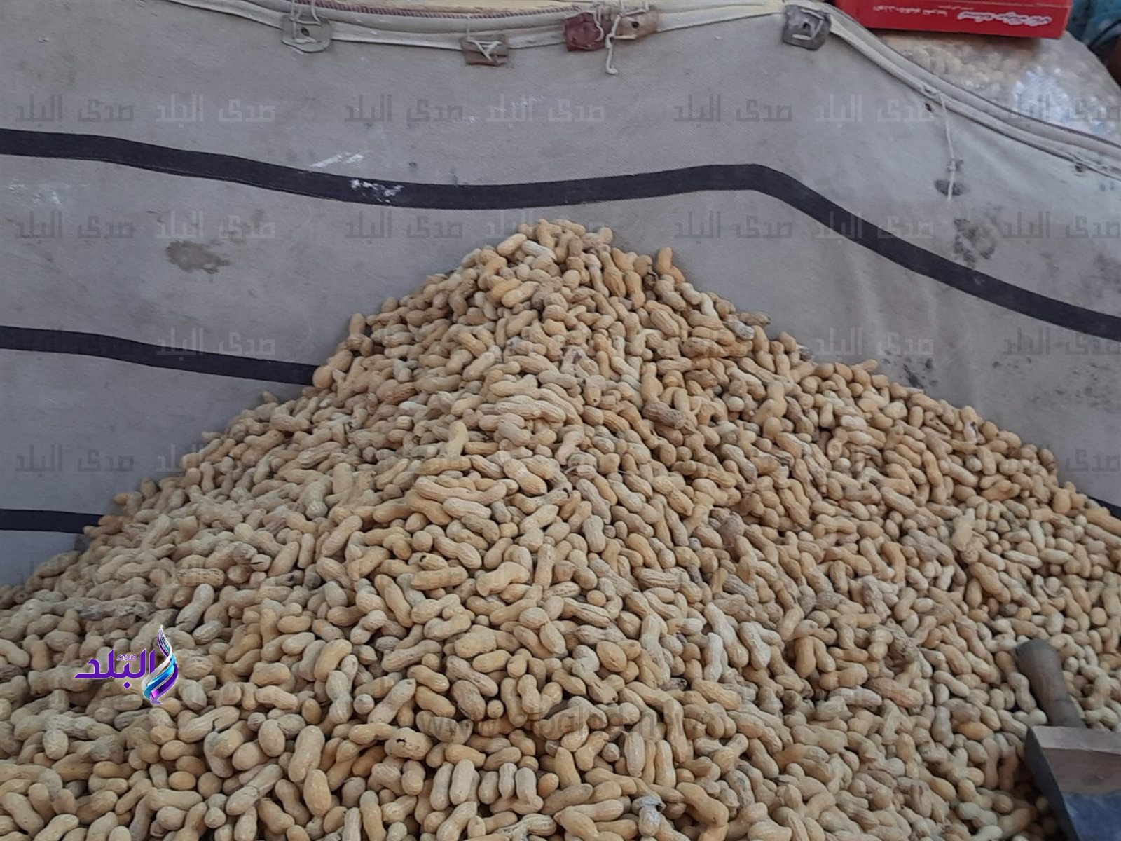 0_٢٠٢٤٠٢١٨_١٦٢١٠٧_١٠٤٨٥٥