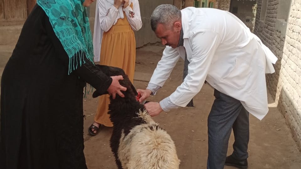 قافلة بيطرية