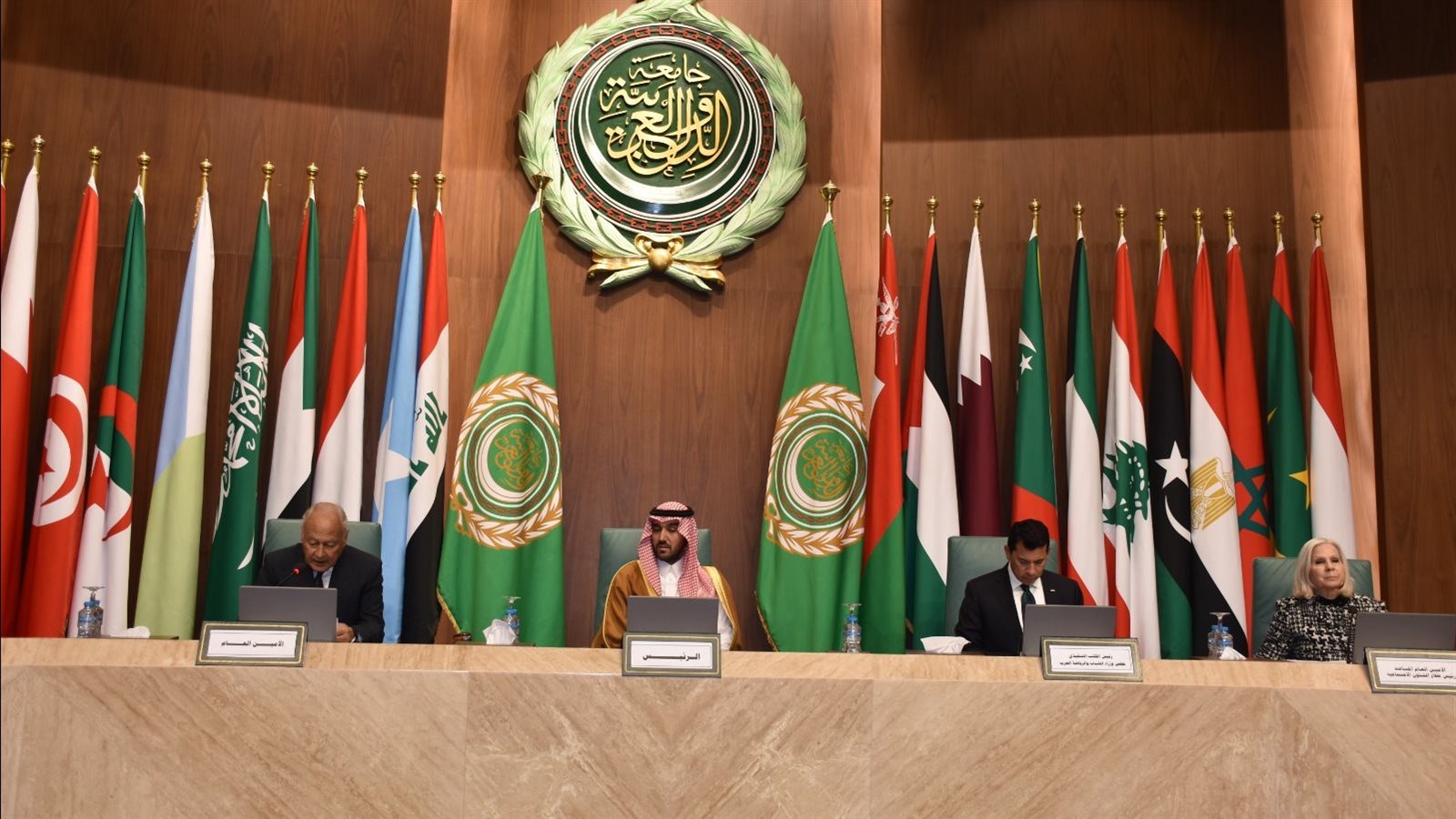 الأمين العام لجامعة الدول العربية أحمد ابوالغيط 