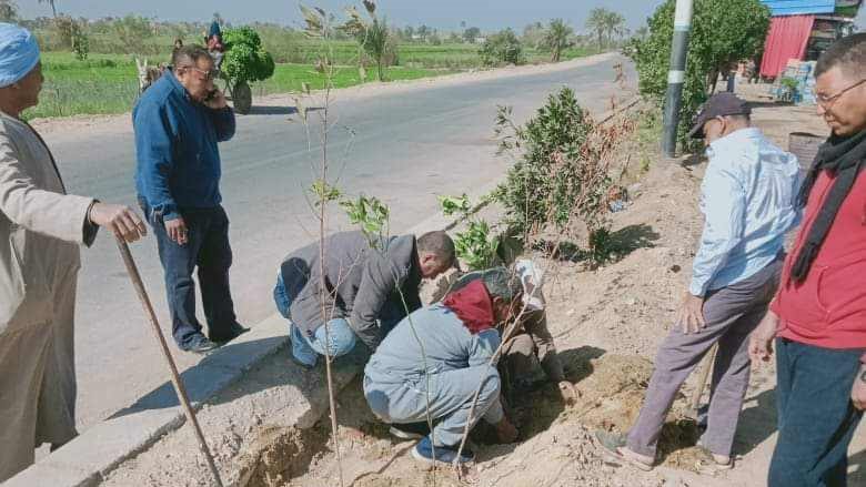 زراعة أشجار مثمرة 