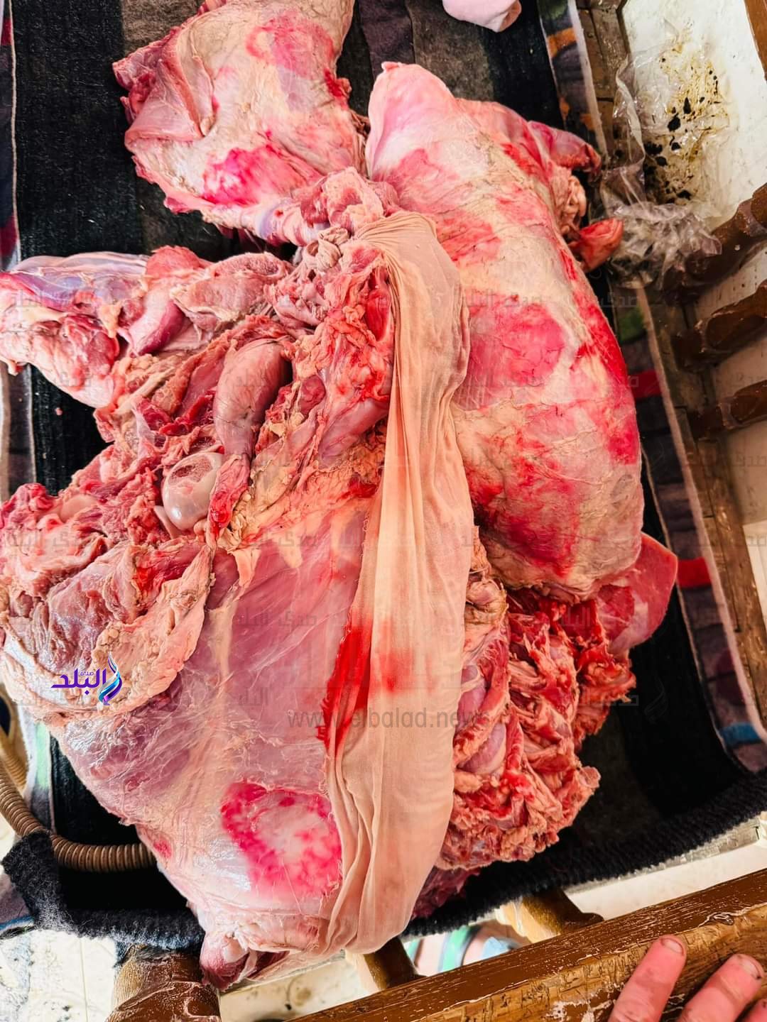 FB_IMG_1710360779946