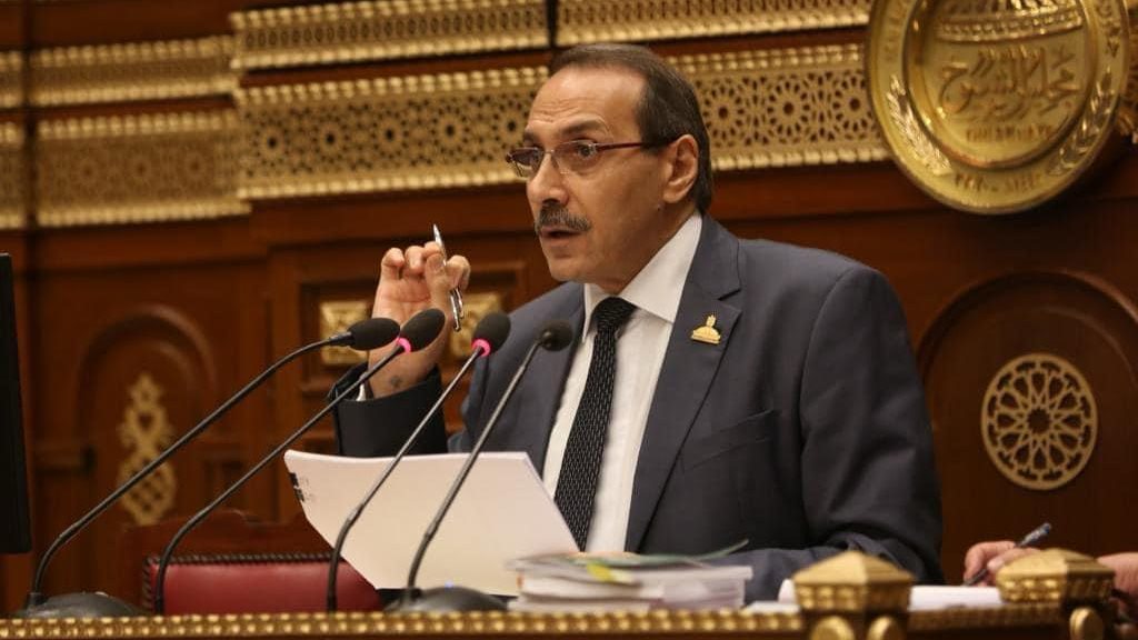 النائب جميل حليم عضو مجلس الشيوخ