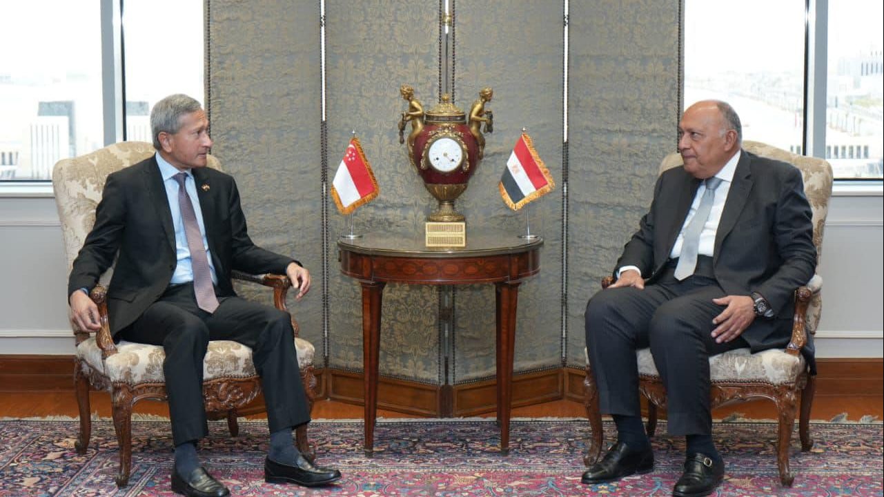 وزيرا خارجية مصر وسنغافورة 