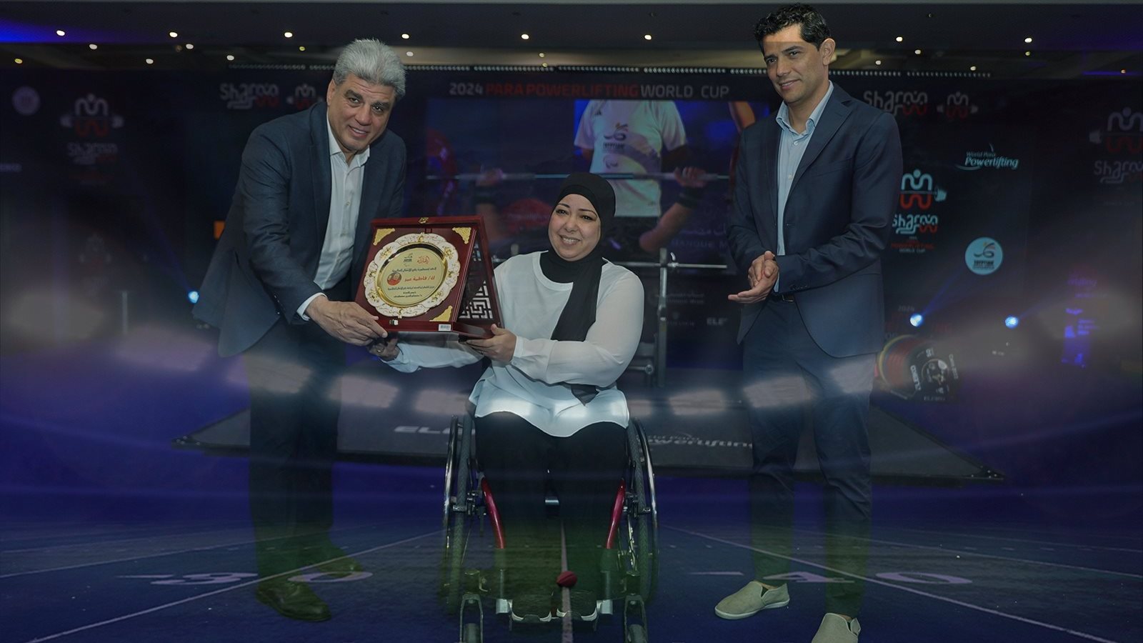 اللجنة البارالمبية المصرية