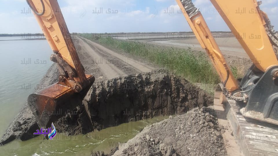 إزالة ٢٤٢ مخالفة استزراع سمكى بمساحة ١٢٨١ فدانا جنوب بورسعيد