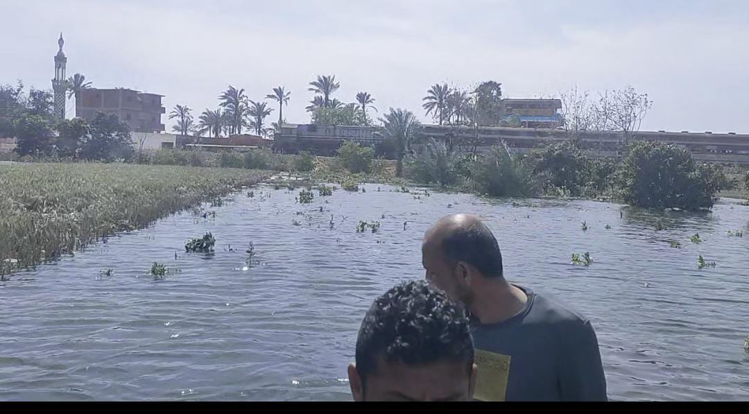 عودة حركة القطارات 