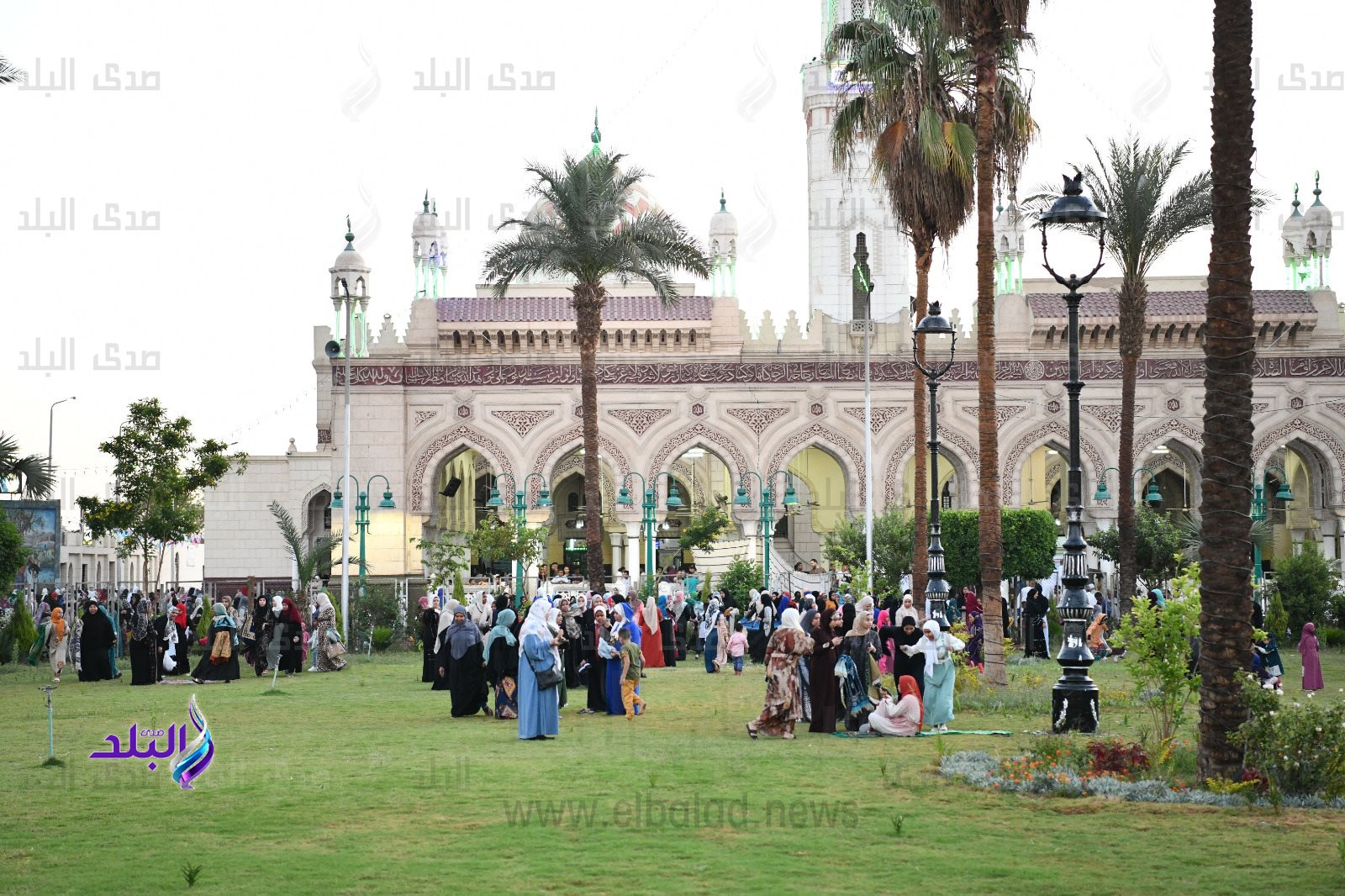 ساحات السيد عبدالرحيم القنائى 