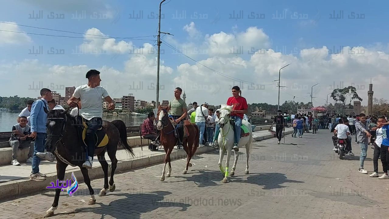 احتفالات العيد بالقناطر 