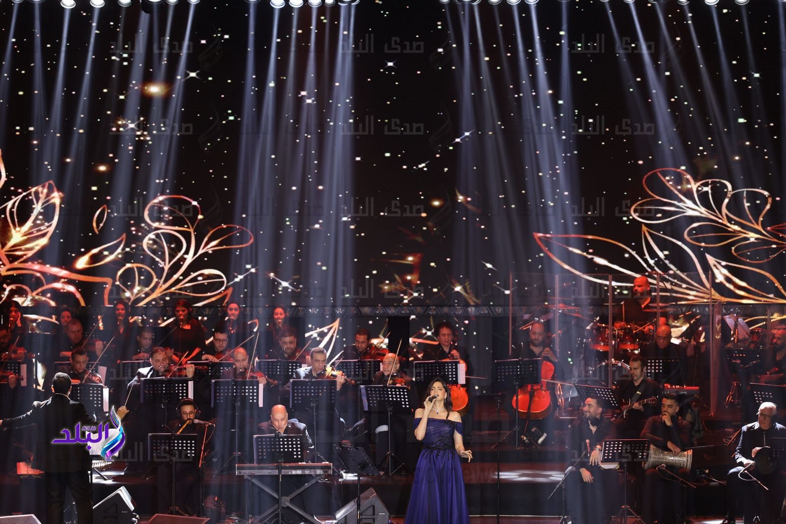 170da597-18cb-4e71-8eac-7fdbe6cf7294