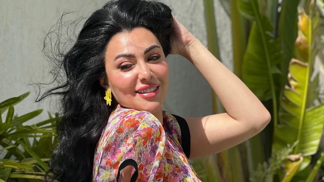 ميرهان حسين 