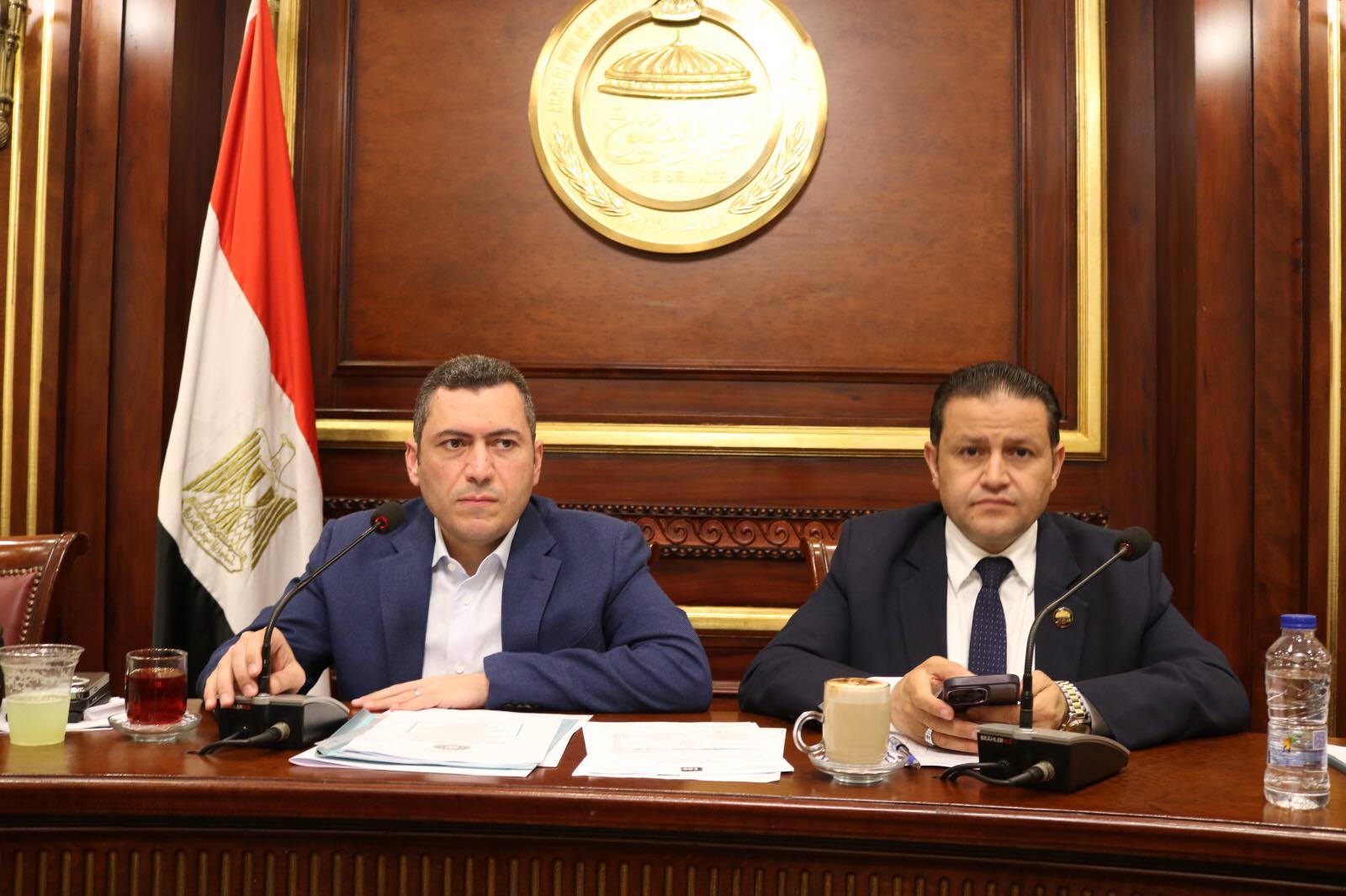  لجنة الصناعة بمجلس النواب