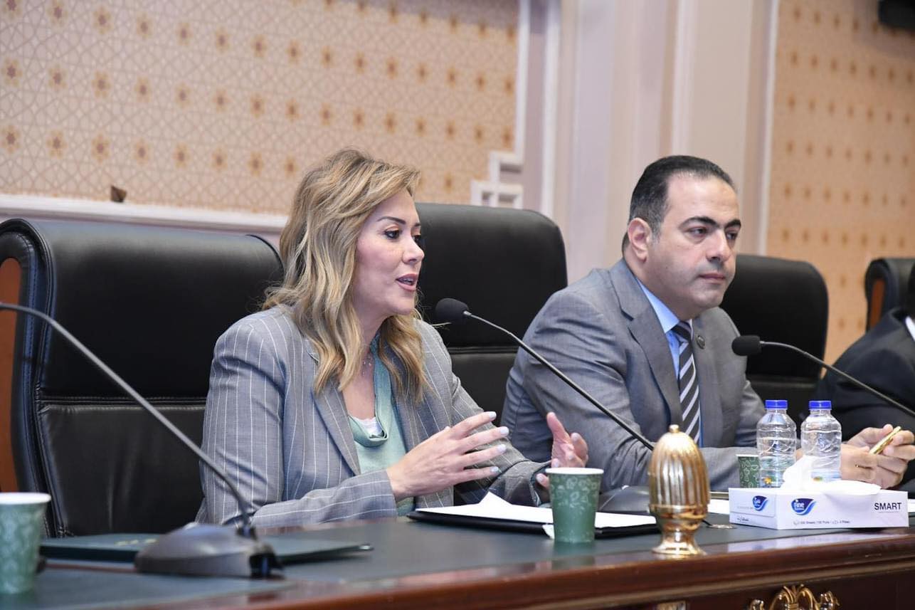  لجنة الشباب والرياضة بمجلس النواب