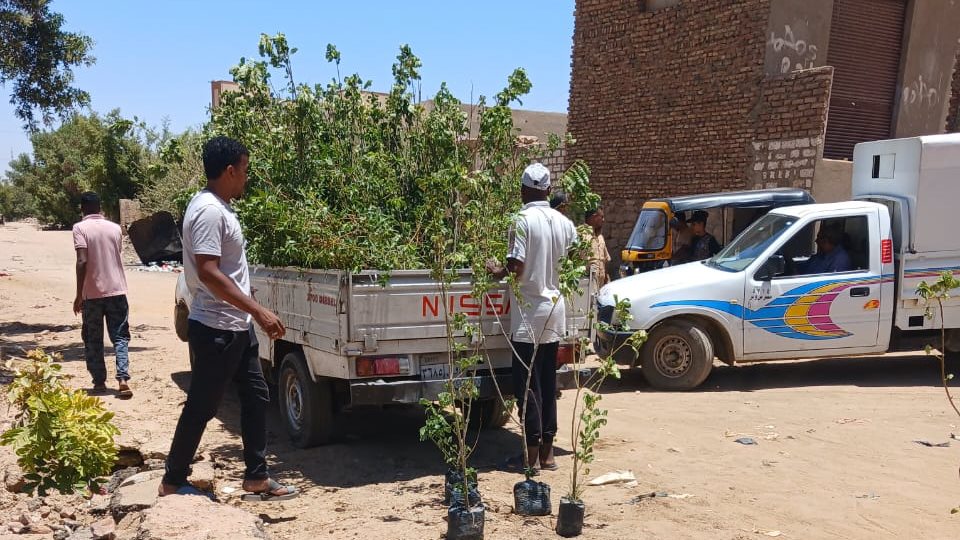 جهود المحليات بأسوان 