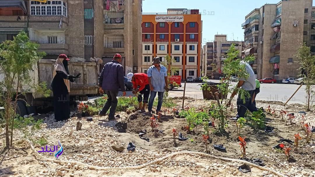 تحويل مسطحات القمامة بزهور بورسعيد لمسطحات خضراء 