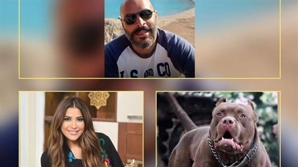 الفصل في اتهام زوج مذيعة شهيرة بالتسبب في مصرع جاره.. الأحد 