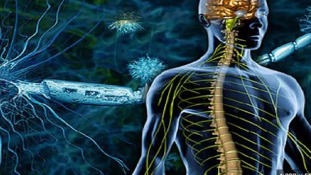 التصلب المتعدد