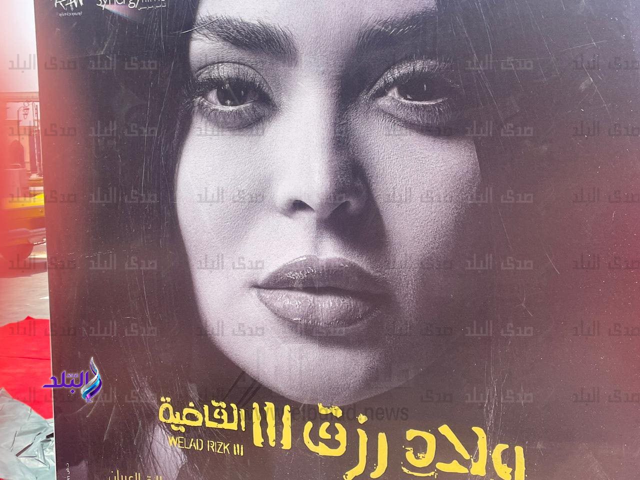 447883510_7642341505882083_1829962381065715973_n