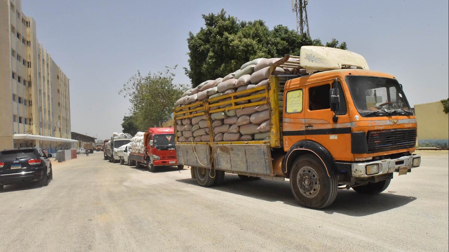 توريد محصول القمح بأسيوط 