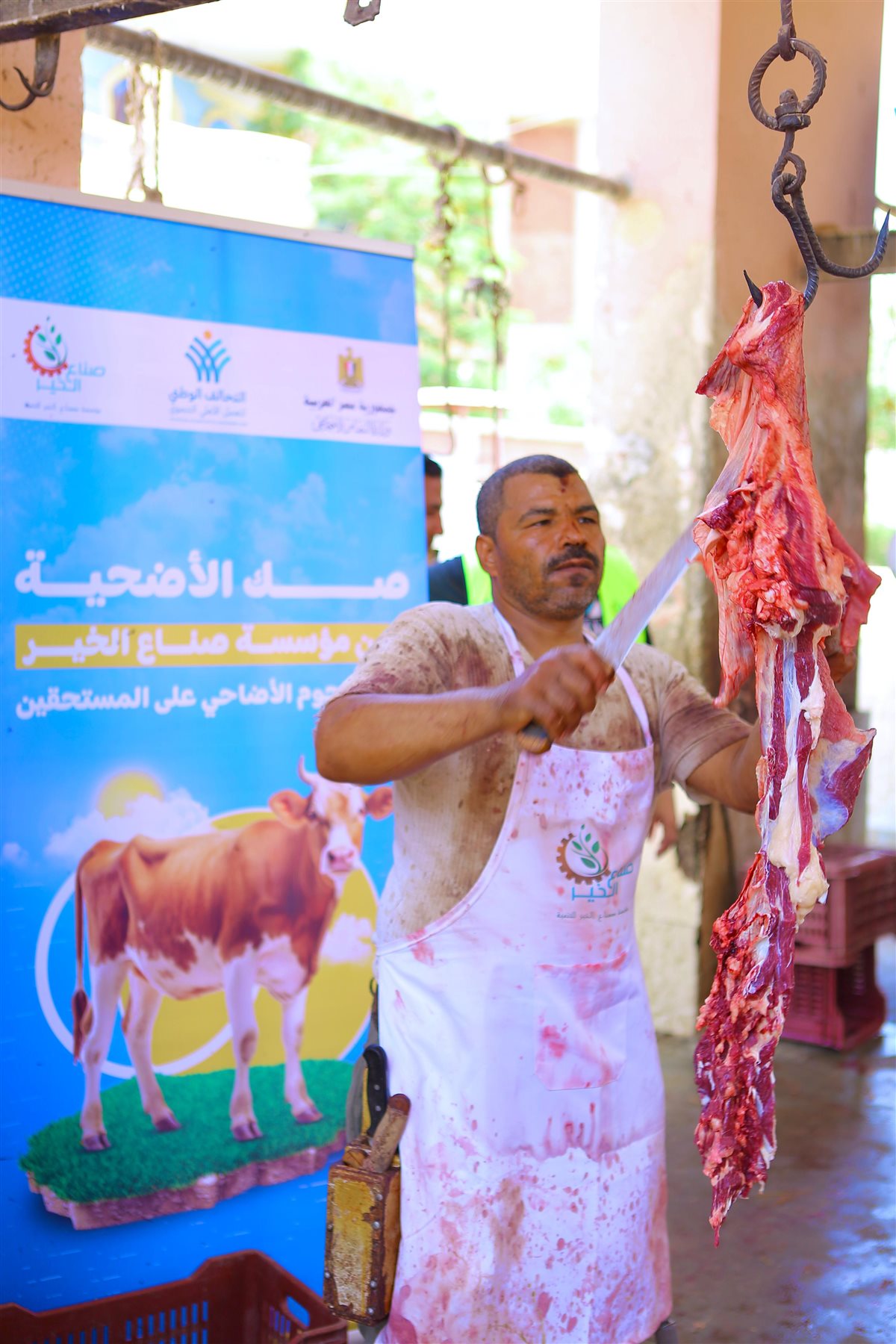 لحوم الاضاحى 