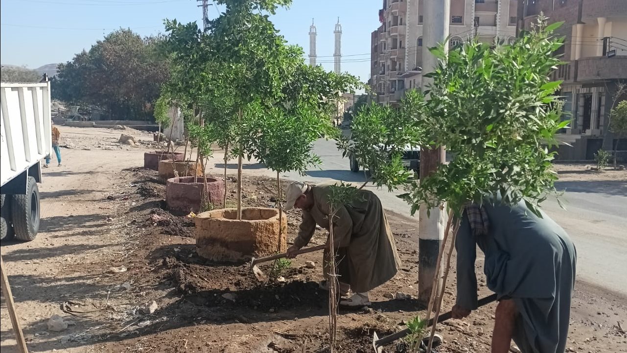 أعمال التشجير