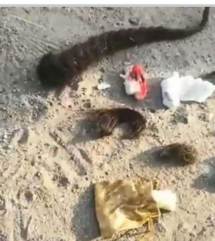 أعمال سحر في عرفات