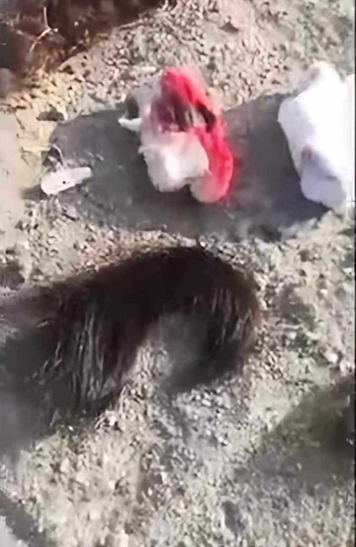 ادعاءات أعمال سحر في عرفات 