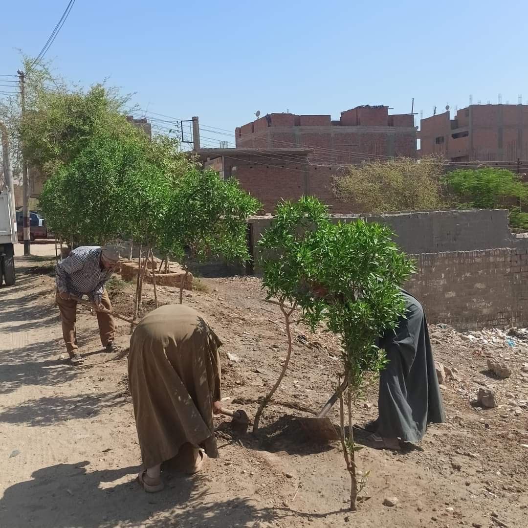 مبادرة 100 مليون شجرة