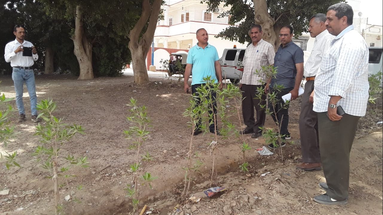 أعمال التشجير بمركز ديروط في أسيوط 