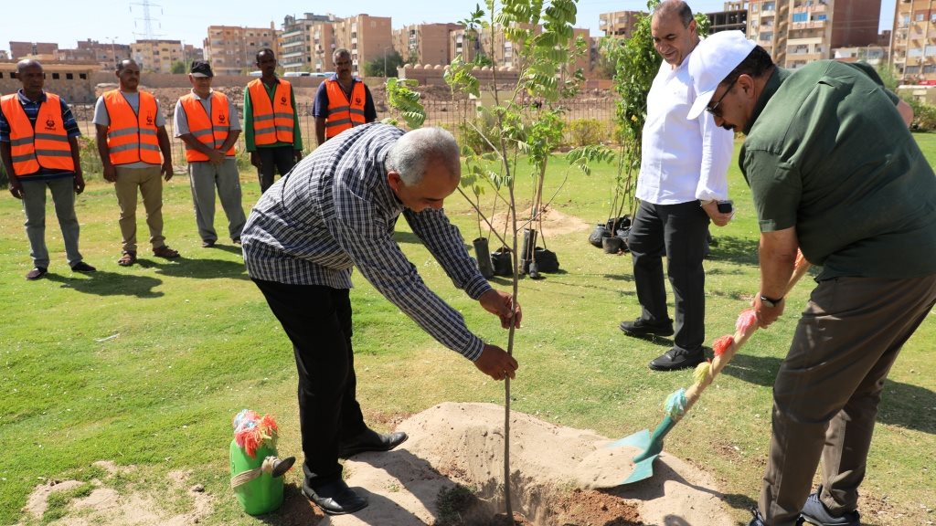 محافظ أسوان يقوم بزراعة مجموعة من الأشجار