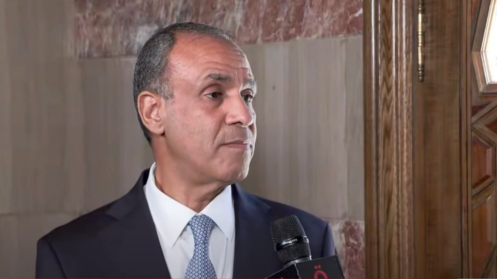 بدر عبد العاطي، وزير الخارجية