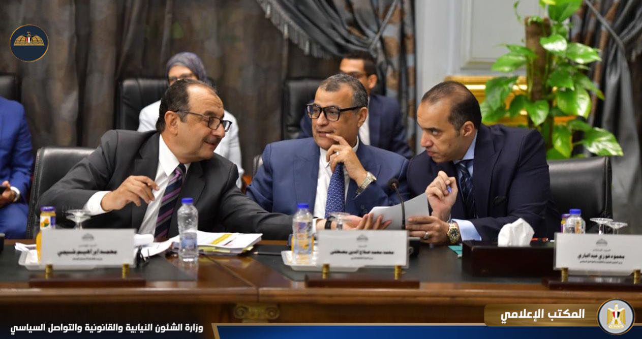 المستشار محمود فوزي