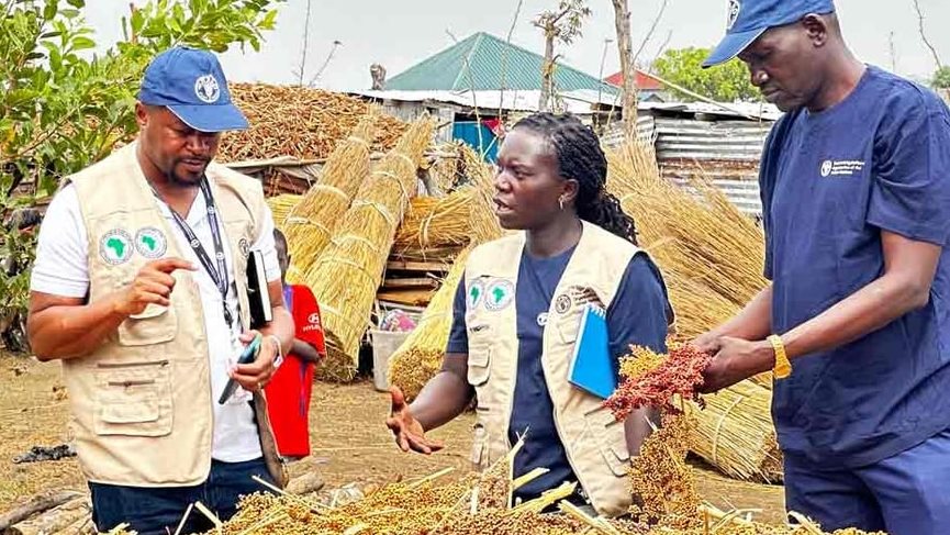 البنك الأفريقي للتنمية يدعم الأمن الغذائي بجنوب السودان