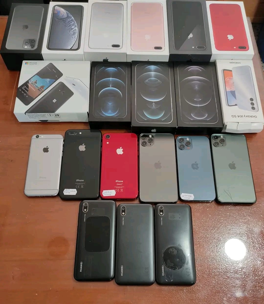 صورة من الضبطية