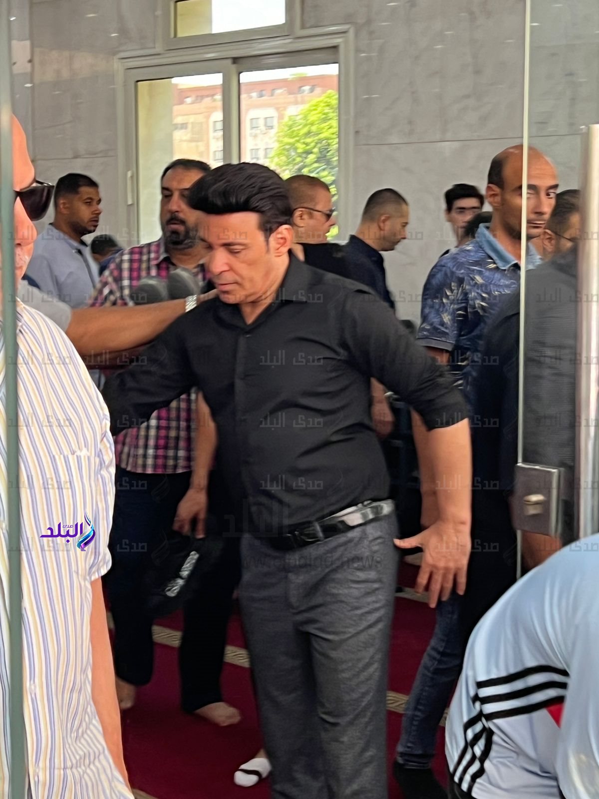 36337cb6-282f-42b0-bb5c-d22da818bf54