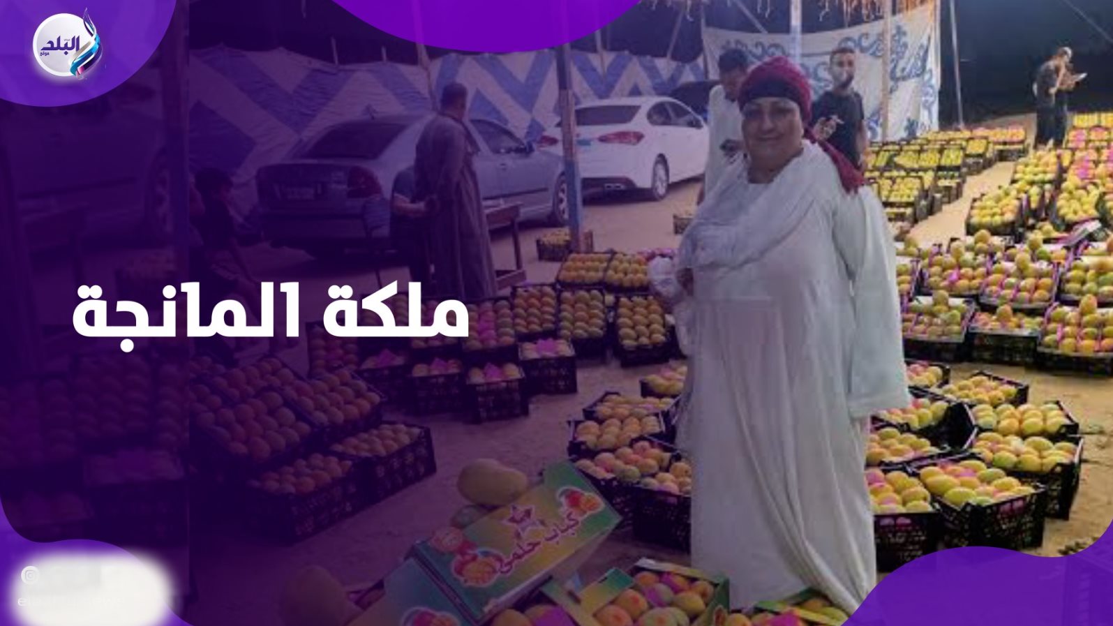 المعلمة تمساحة