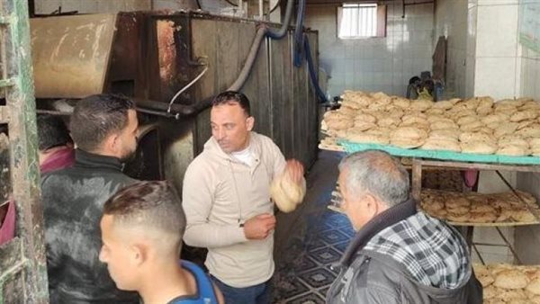 تموين الدقهلية