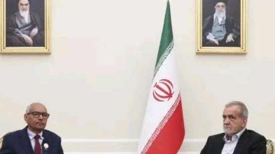 جانب من اللقاء 