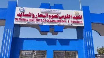 المعهد القومي لعلوم البحار والمصايد