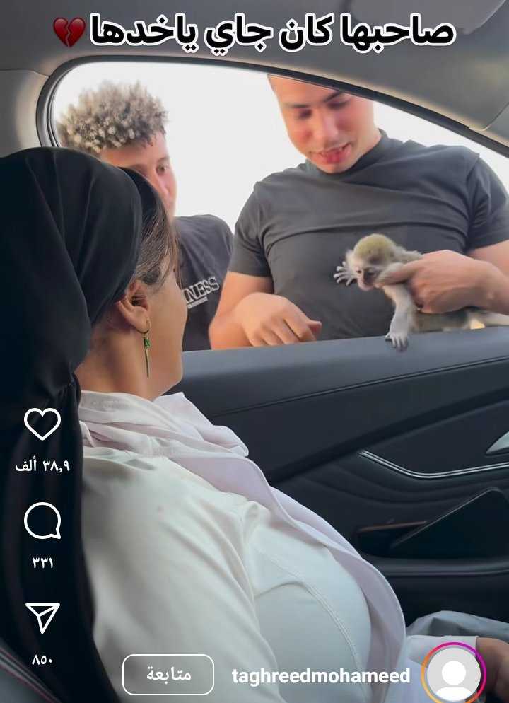 رفض القردة ترك الفتاة 