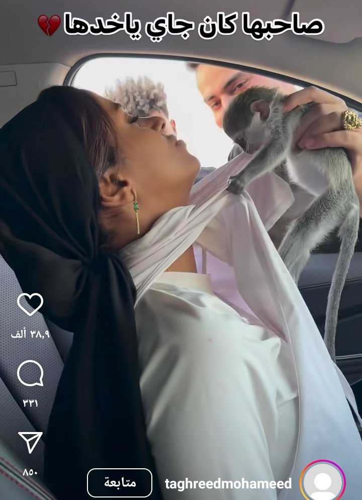 قصة حب قردة وانسانة 