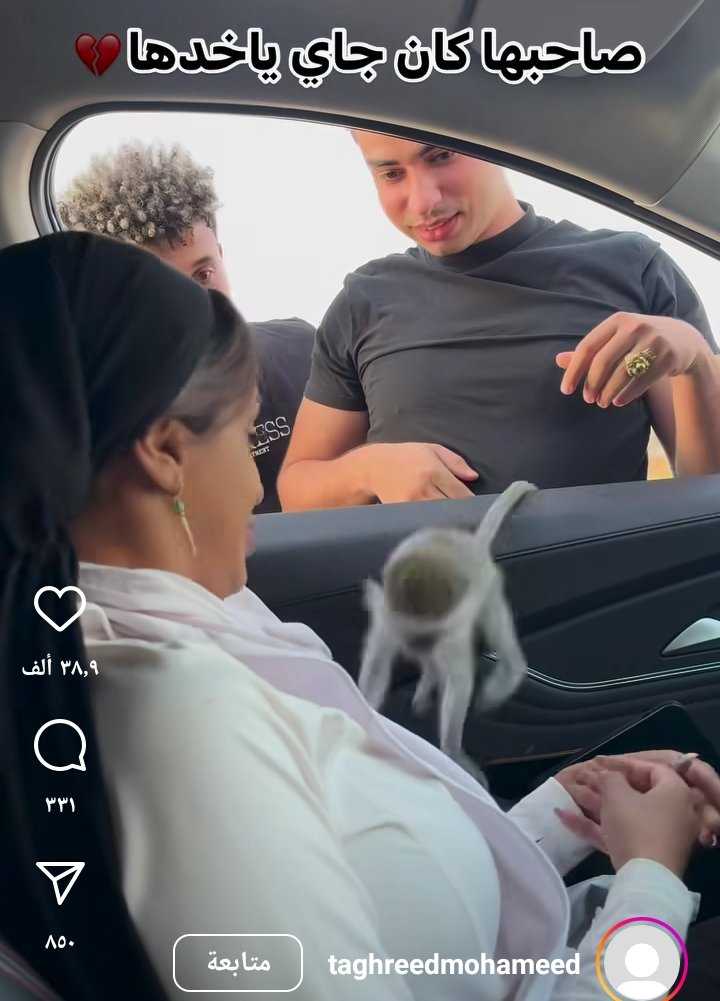 قردة تترك صاحبها وتعود لفتاة غريبة 