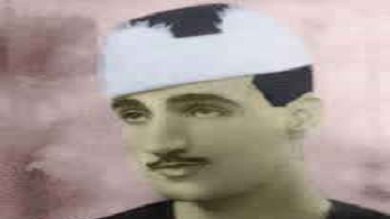 الشيخ محمد فريد السنديوني