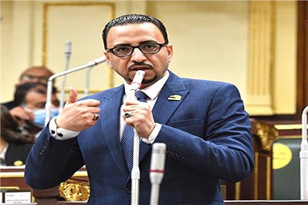  محمد عزت القاضى عضو لجنة العلاقات الخارجية بمجلس النواب