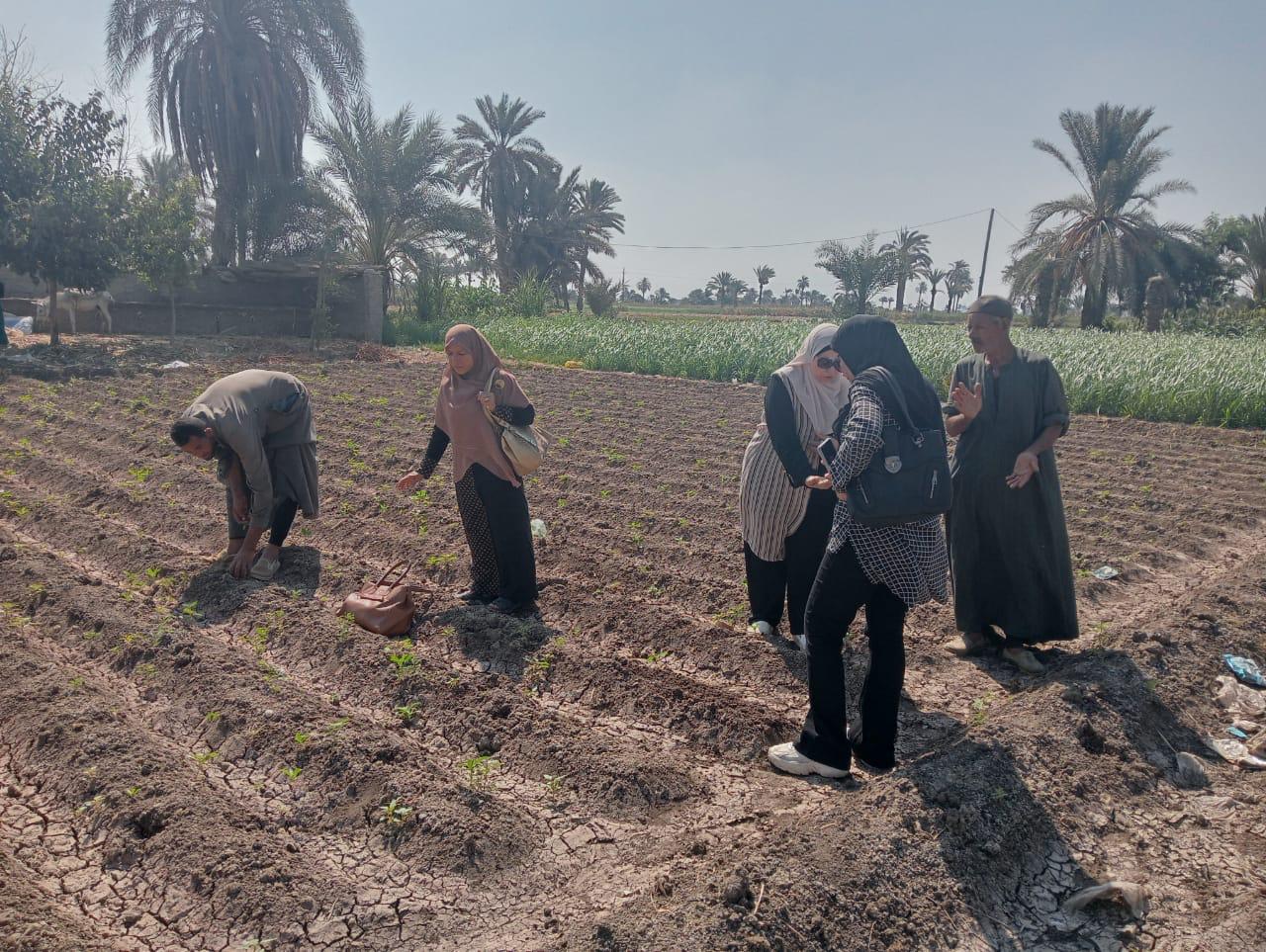 الإرشاد الزراعي