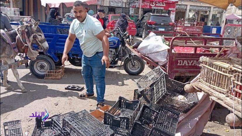 مجلس مدينة بورفؤاد يواصل حملاته بمحيط الشعراوى لإعادة الانضب