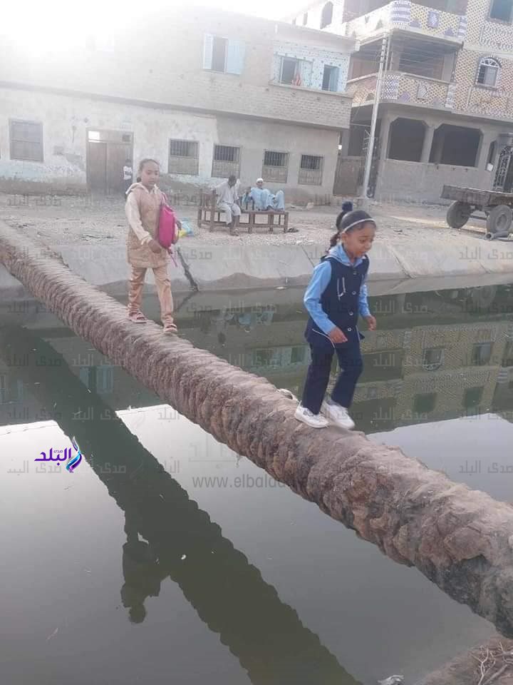 معدية قوص (1)