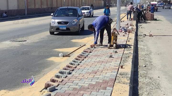 تزامنا مع الخطة الشاملة لرفع كفاءة و تطوير زهور  بورسعيد