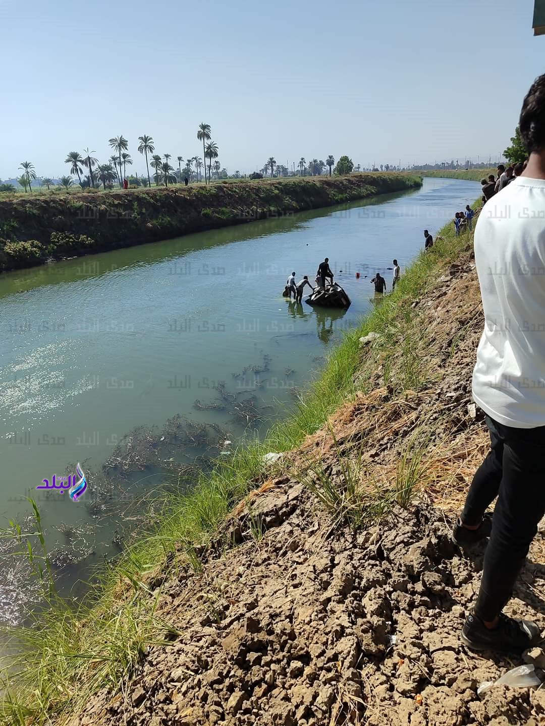 FB_IMG_1728216826293