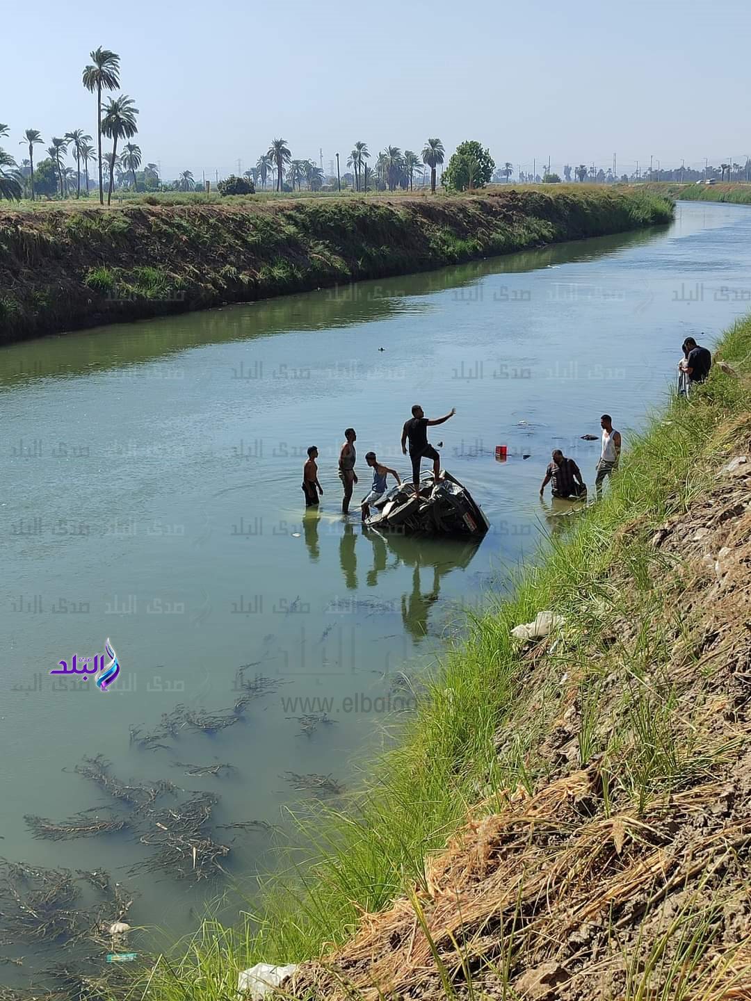 FB_IMG_1728216821558